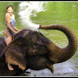 Meet your Posher, Jenny